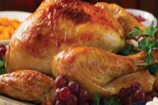The Blagdon Bronze Turkey
